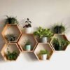 WUDORY set of 5 hexagon floating shelves, wall-mounted